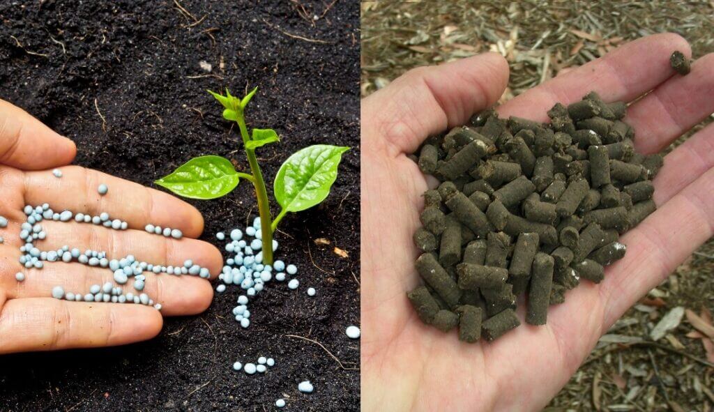 organic and chemical fertilisers side by side, whats the difference between organic and chemical fertilizers?