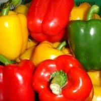 Capsicum annuum var. longum