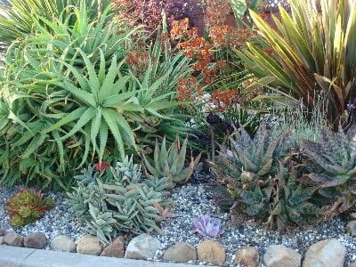 Landscape Style And Inspiration - Plantinfo