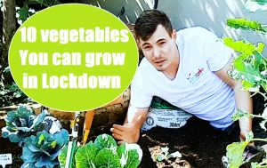 kyle Moolman Garden Guy