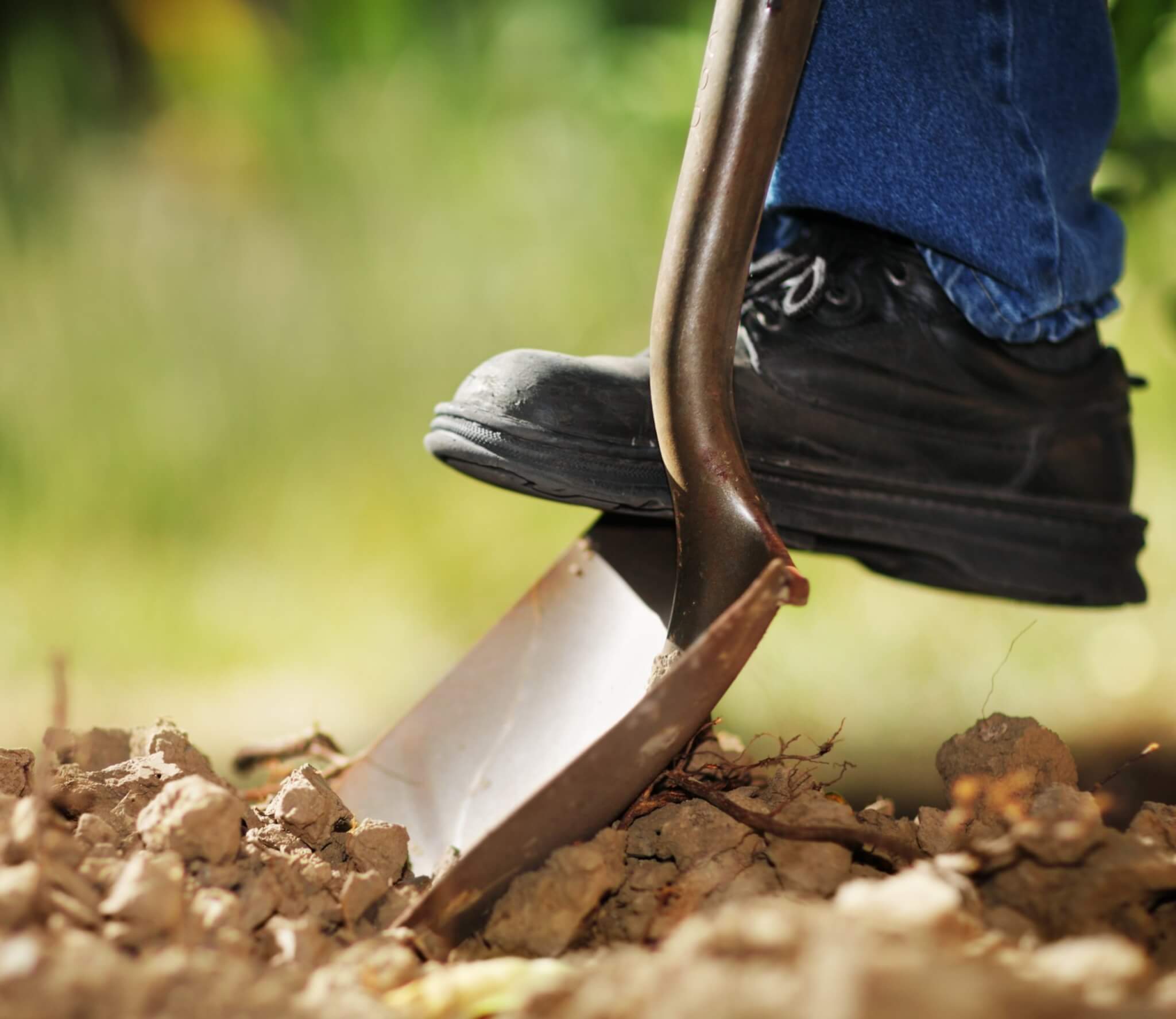 Digging Over and Preparing Garden Beds For Planting - Plantinfo