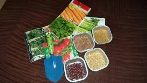 Time to do some planting