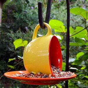 cup saucer bird feeder with seed