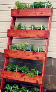 diy-herb-garden-with-the-home-depot_thumb1
