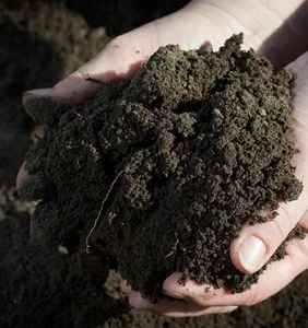 Healthy soil