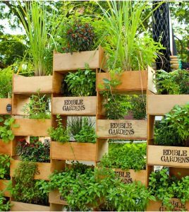 vertical herb garden stack wall