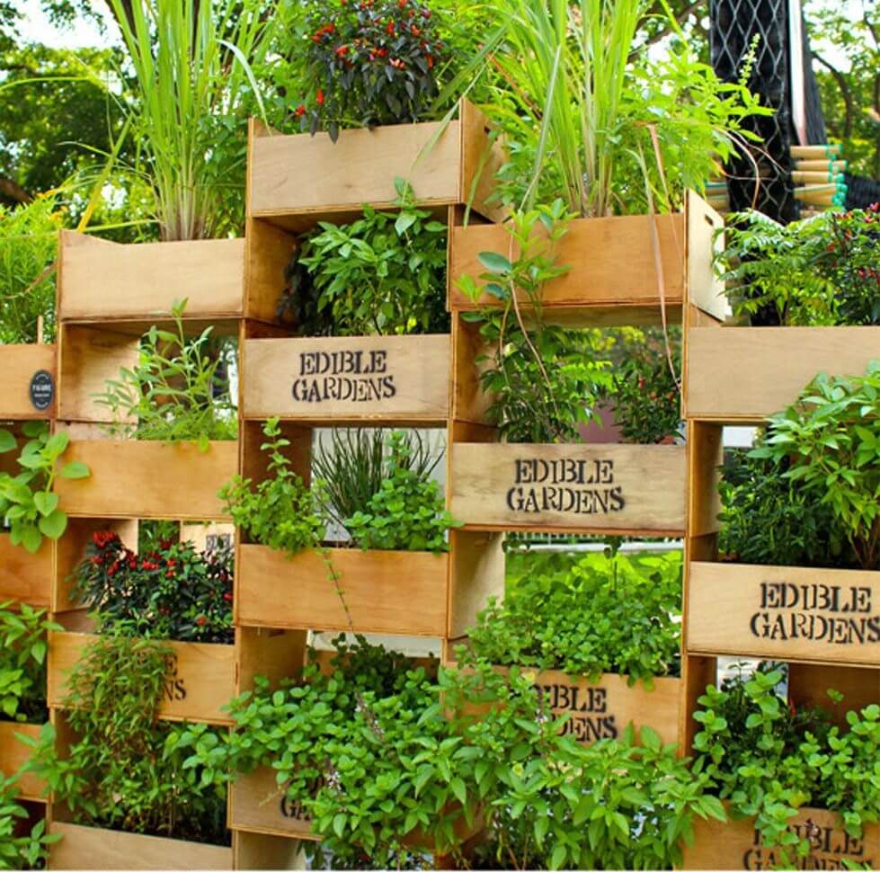 vertical herb garden stack wall