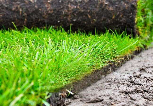 roll of lawn on clay soil|