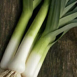 Leek