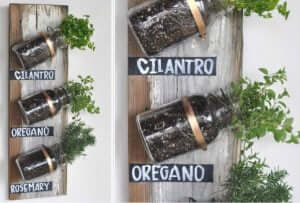 mason glass jar vertical herb garden