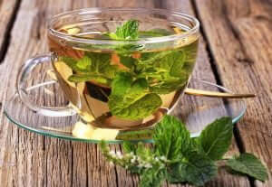 Mint tea made of fresh mint leaves|Chamomile herbal tea|Thyme herbal tea||