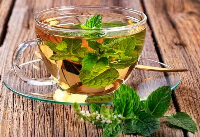 Mint tea made of fresh mint leaves|Chamomile herbal tea|Thyme herbal tea||