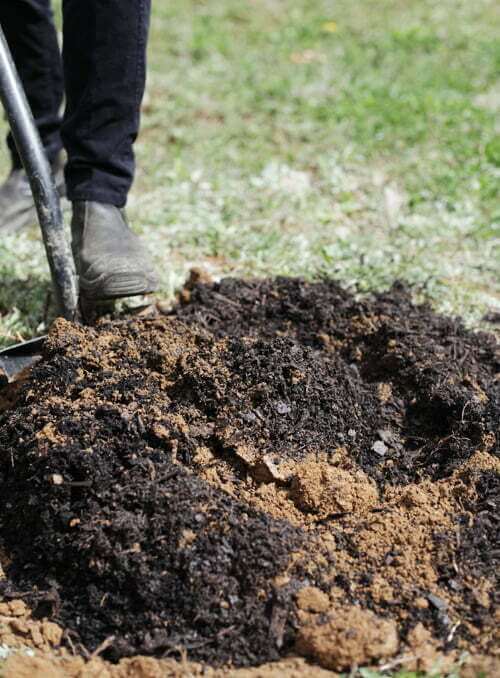 Preparing The Planting Hole and Soil Before Planting. Plantinfo