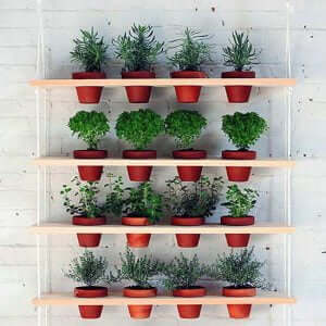 teracotta hanging herb garden