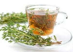 Thyme herbal tea
