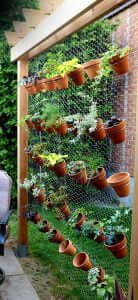 vertical-garden-wall1