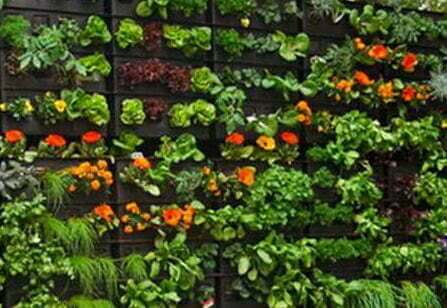 ||vertical herb garden stack wall|||||Recycled plastic bottle vertical herb garden One person's trash is another person's vertical garden