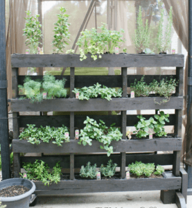 vertical-pallet-herb-garden