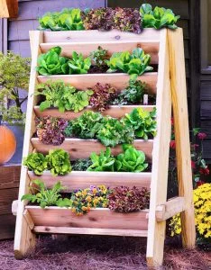 vertical planter pyramid