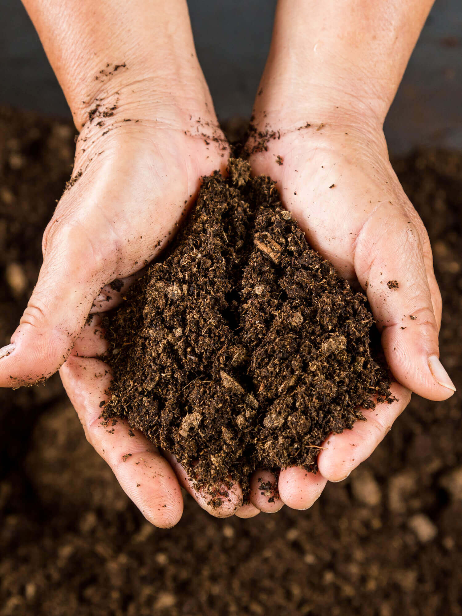 Is Your Peat The Wrong Color? Find Out Now!