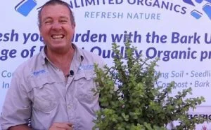 Jan Bark unlimited organics