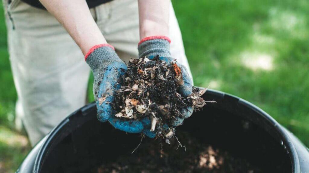 How to make compost, compost in hands