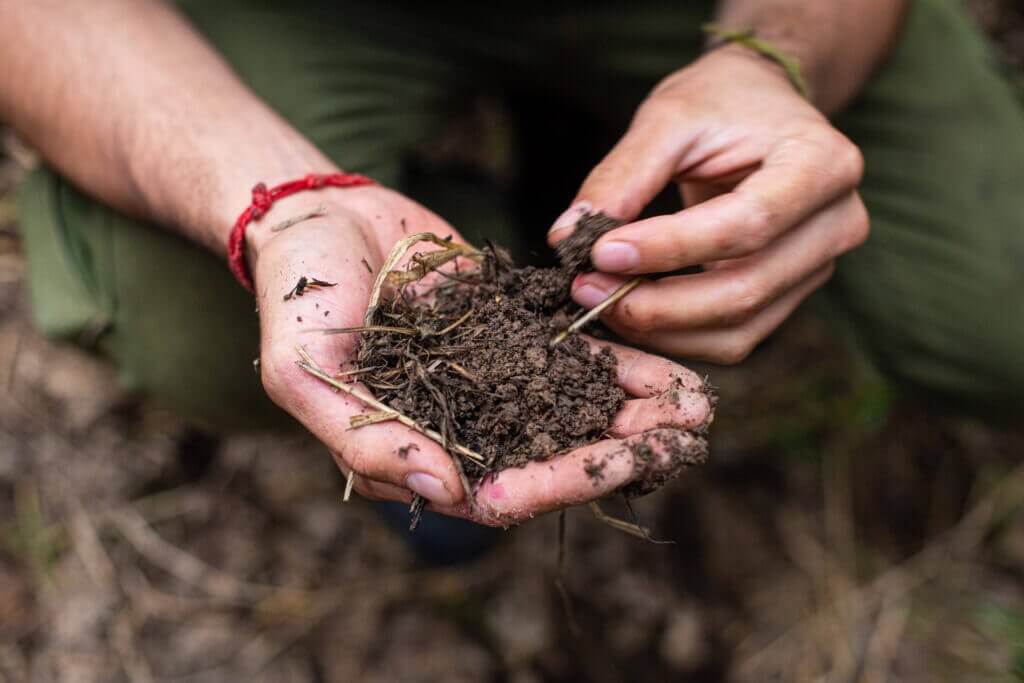 improve soil with compost and mulch