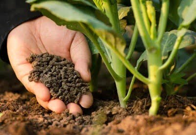 NAtural soil fertility, natural fertilizer