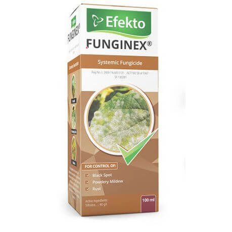 Funginex