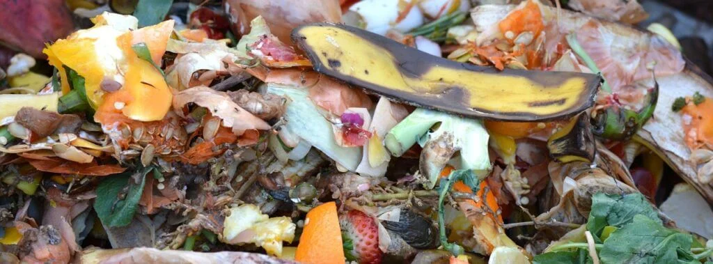 Worm farm Kitchen scraps with a banana peal