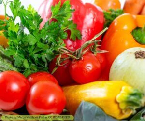 Summer vegetables that grow in the heat