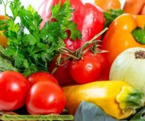 Summer vegetables that grow in the heat