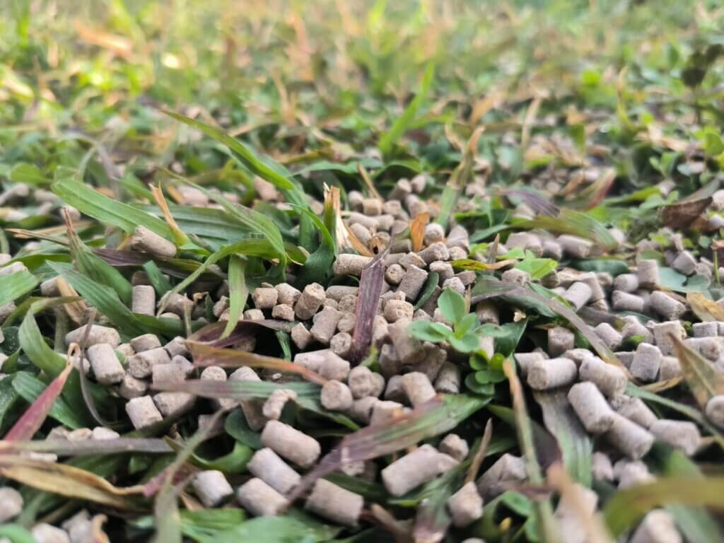 Lawn fertilizer, organic lawn fertiliser on green lawn. talborne organics lawn fertilizer on south african green lawn