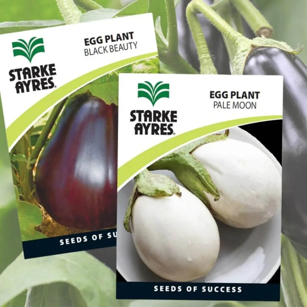 Starke Ayres eggplant varieties.